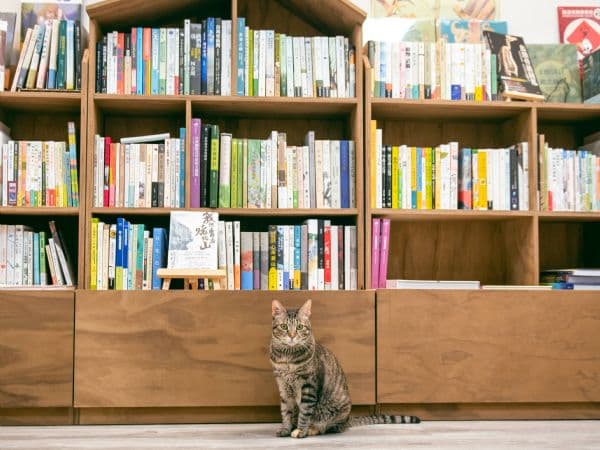 小獸書屋