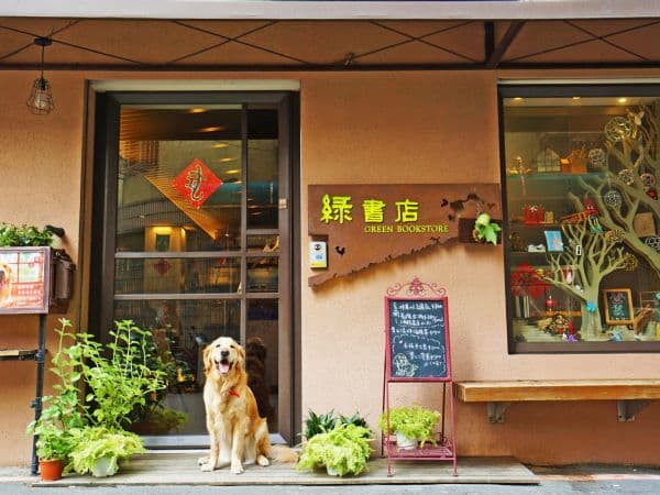 綠書店